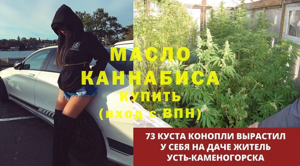 первитин Няндома