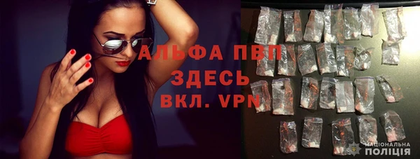 первитин Няндома