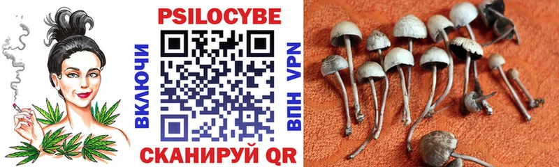 Галлюциногенные грибы Psilocybine cubensis  Короча 